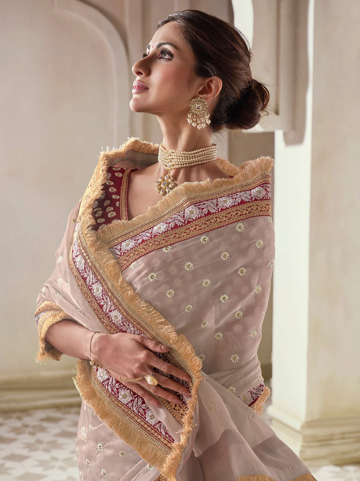 Odette Beige Organza Embroidered Saree With Unstitched Blouse For Women - Image 5