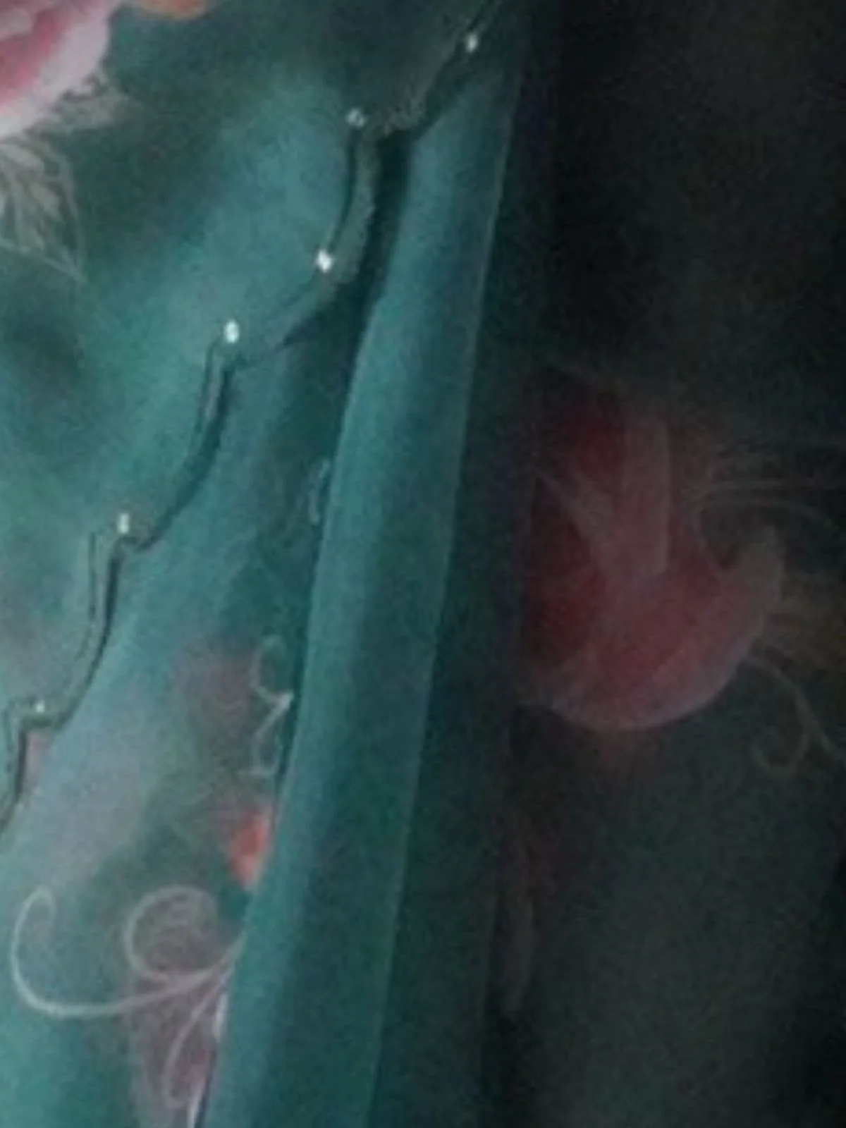 Odette Dark Green Organza Printed Saree With Unstitched Blouse For Women - Image 3