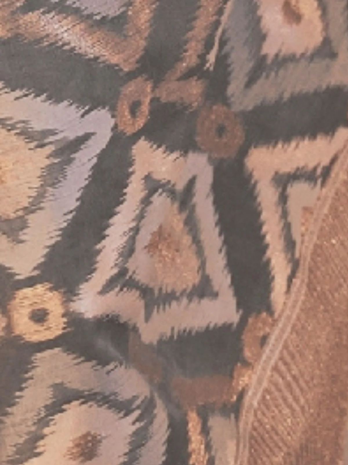 Odette Grey Linen Woven Saree With Unstitched Blouse for Women - Image 3