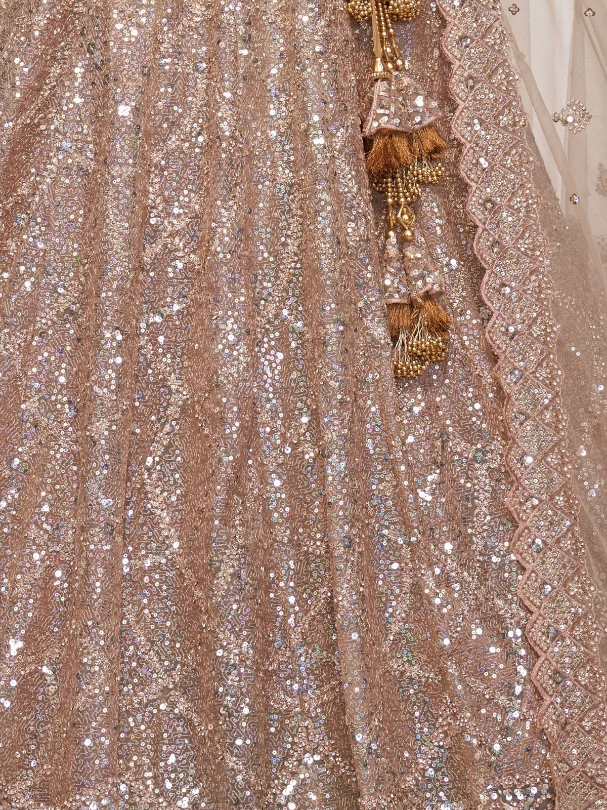 Odette Light Brown Soft Net Embroidered Semi-Stitched Lehenga With Unstitched Blouse For Women - Image 5