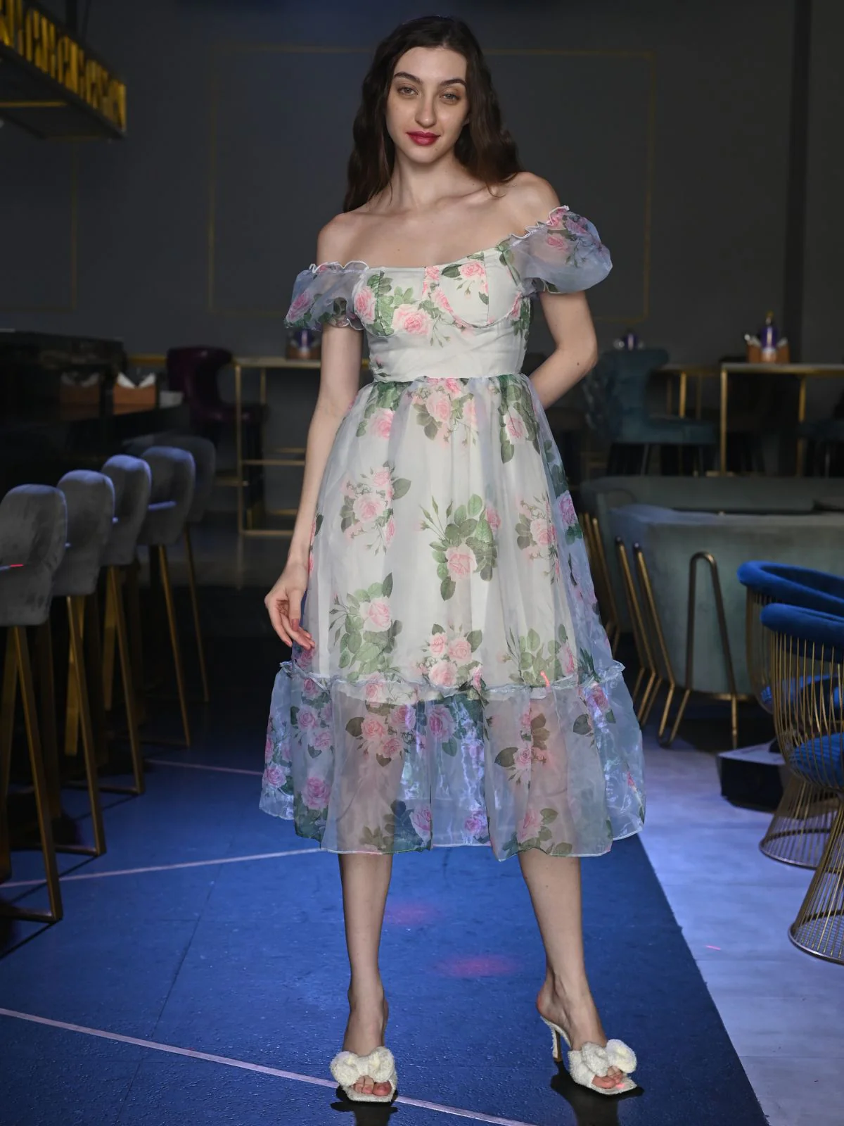 Odette Multicolor Printed Organza Dress for Women